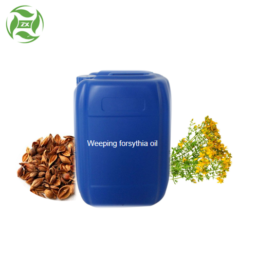 Wholesale Antibacterial Antiviral Oil Weeping Forsythia Oil