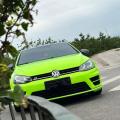 Haustier Ultra Gloss Apple Green Car Vinyl