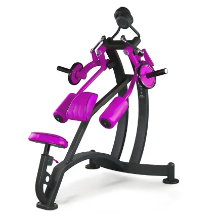Back Exercise Machine Gym Commercial Fitness Equipment