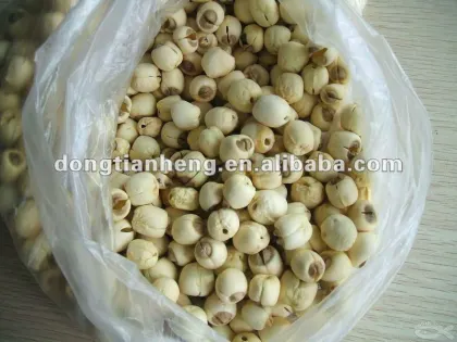 Chinese lotus seeds without shell