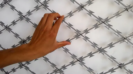 Low price concertina razor barbed wire  