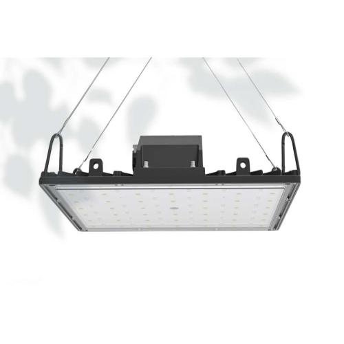 LED Grow Light UV Blue Spectrum pour l&#39;enracinement