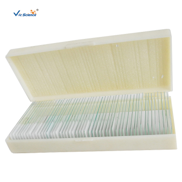 Biology Slides 50 Pieces Slides Set For Students