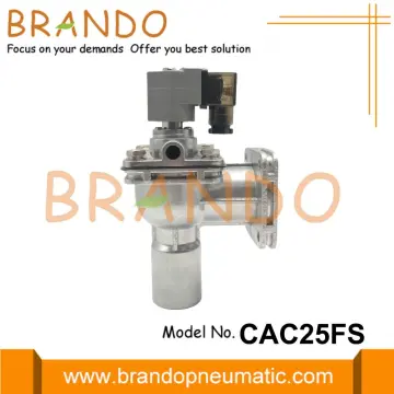 CAC25FS Flanged Goyen Type Pulse Jet Valve 24VDC