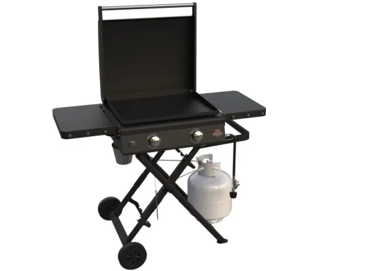 OEM Acceptable New Design Portable 2 Burner Propane Gas Grill Folding Flat Top Gas Griddle