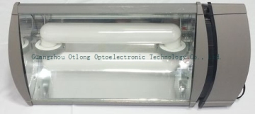 Induction tunnel lights