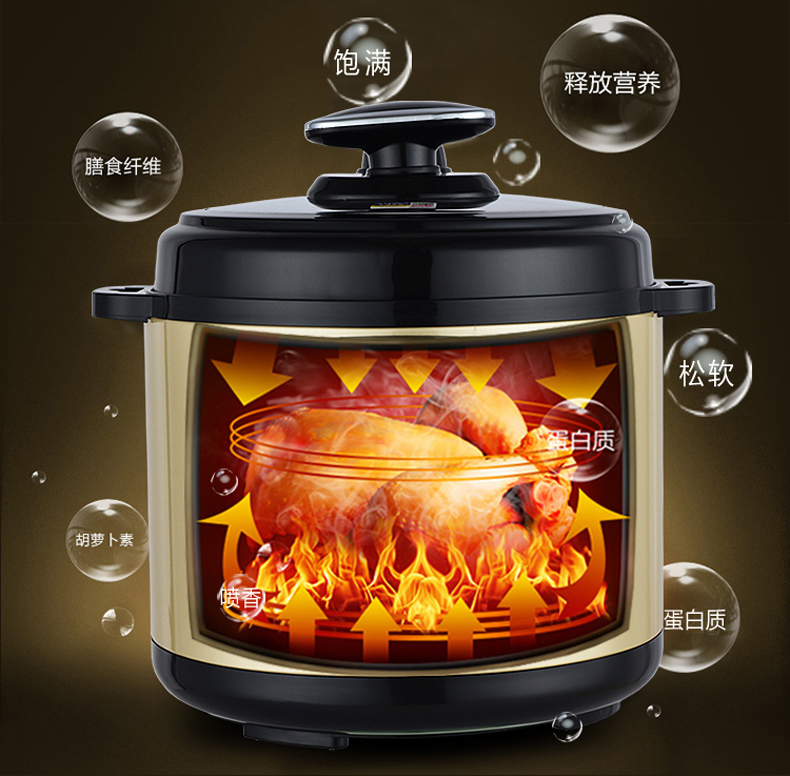 auto-electronic pressure cooker