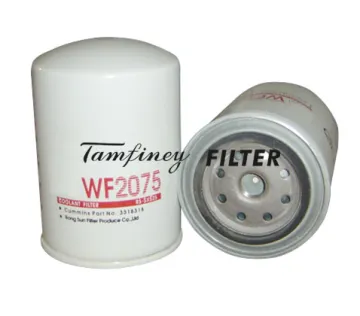 Water Filter For Heavy Duty Wf2075 3318318 P552075 