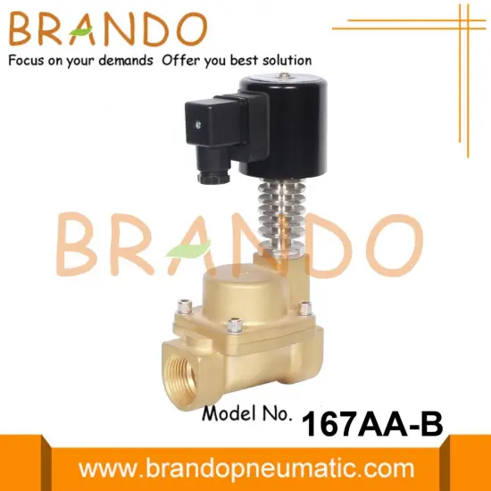3/8'' 1/2'' 3/4'' 1'' Brass Steam Solenoid Valve