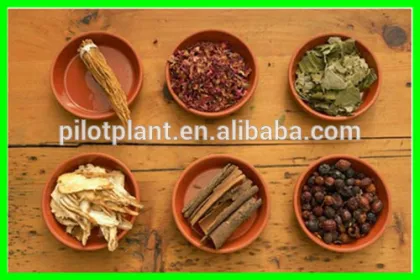 rosemary essential oil extraction