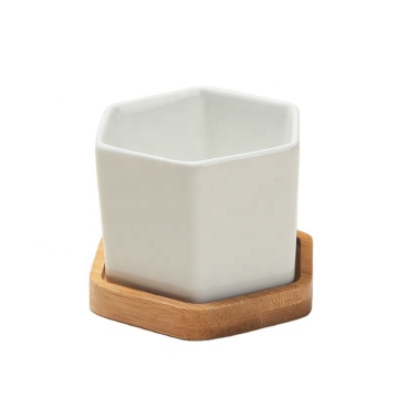 Irregular White Hexagonal Ceramic Cactus Pots with Bamboo Tray - 2.76 Inches