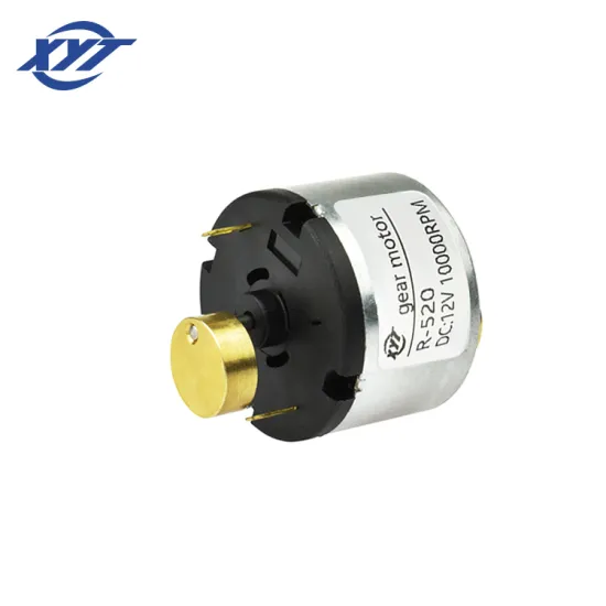 High Speed Dual Shaft 12V DC Mini Electric Vibrator Motor