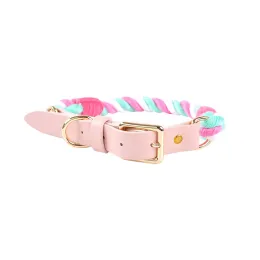 Multi-color traction braided rope pet rainbow collar