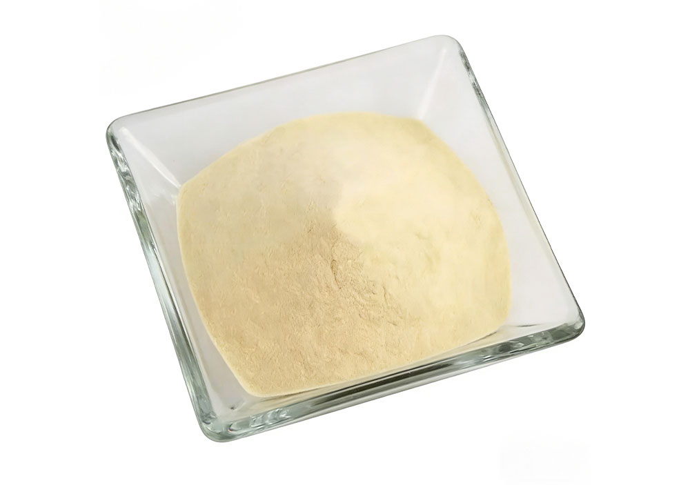 feed additive01-y