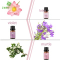 Top 6 mélanges organiques aromathérapie à l&#39;huile essentielle pure ensemble pour les diffuseurs, les soins à domicile, l&#39;air frais