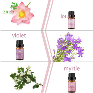 Top 6 mezclas orgánicas Aromaterapia Natural Pure Essential Oil Juego para difusores, cuidado del hogar, aire fresco