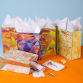 Bolsa de papel de embalaje de regalo de lujo de color de contraste personalizado