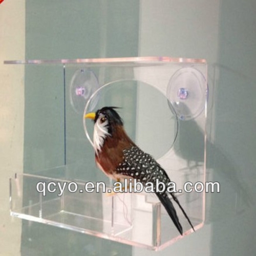 clear acrylic bird feeder