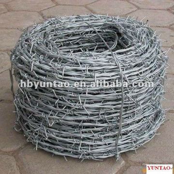 Single strand electro galvanized barbed wire 1
