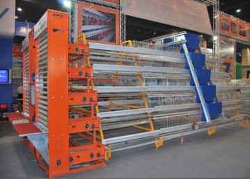 Farming Chicken Cages