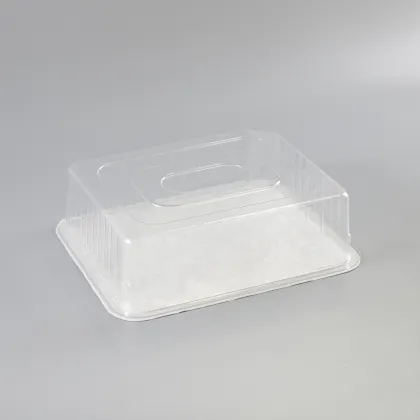 Plastic Blister Packaging Tray Sealing with Tyvek Paper