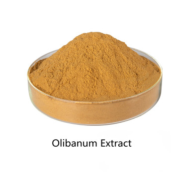 Wholesale price active ingredients Olibanum Extract powder