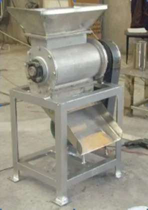 Fruit and Vegetable Crusher Machine