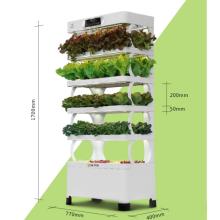 Cabinet Type Hydroponic Home Used Vegetables Plant Planter