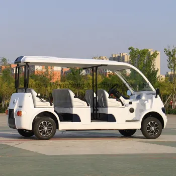 Popular New Energy Vehicles: Factory Supply of Modern Electric Cars and Golf Carts