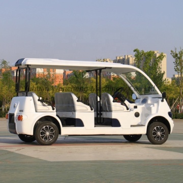 Popular New Energy Vehicles: Factory Supply of Modern Electric Cars and Golf Carts