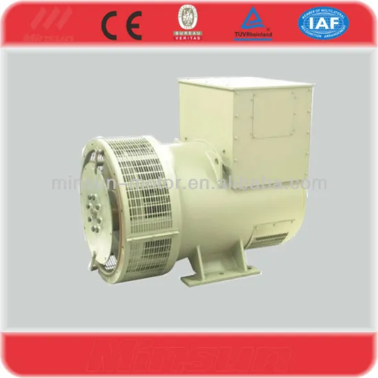 TWG brushless 220v 50hz generator