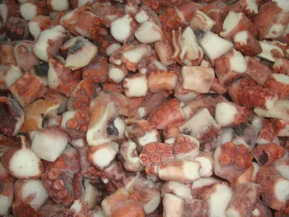 Fresh frozen sliced octopus