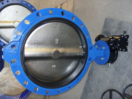 Good Seal Performance Gg25 / Ggg40 / Ggg50 Body, Single Flange Butterfly Valve Bs5155