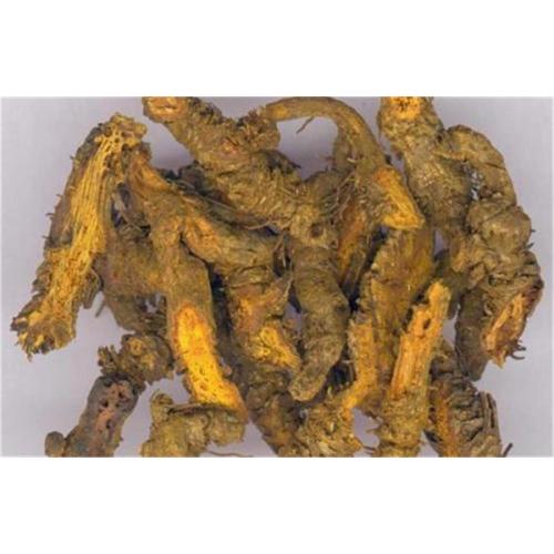 what stores carry berberine