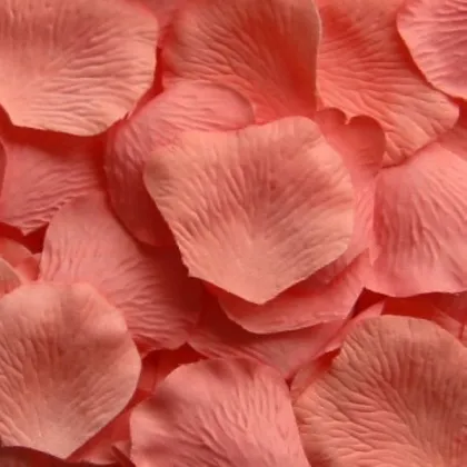 Silk Rose Petals