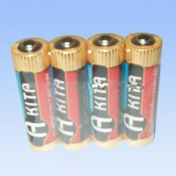 LR6 Alkaline Battery (Akita)