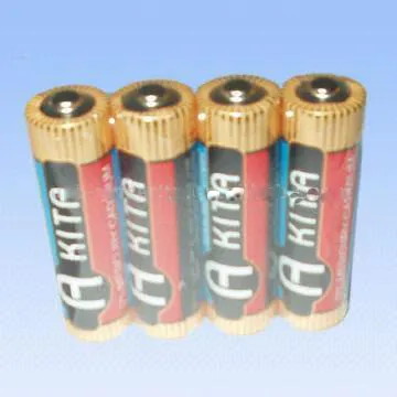 LR6 Alkaline Battery (Akita)