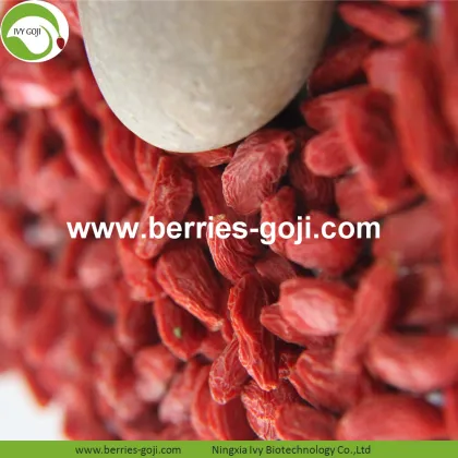 Factory Wholesale Fruit Sweet Low Pesticide Goji Berry