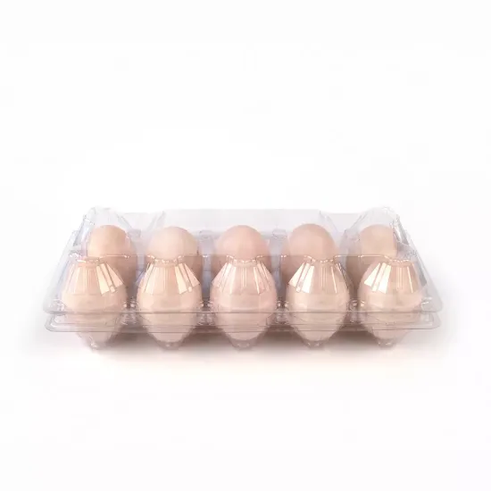 plastic egg packing tray for supermarket 6hole