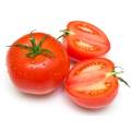 High Quality Tomato Extract Powder Food Grade
