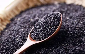 Sesame    sesame seed