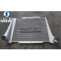 DZ9112538011 DZ95259531501 DZ9114530002 Intercooler