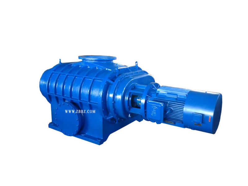 Zj10000 Roots Vacuum Pump