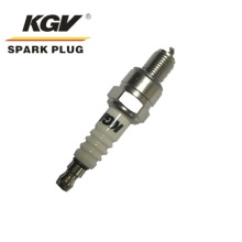 Small Engine Iridium/Platinum Spark Plug S-CR6HIX.