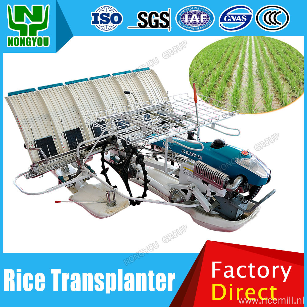 Oem Tray Hand Rice Seedling Transplanter 2ZS-6A