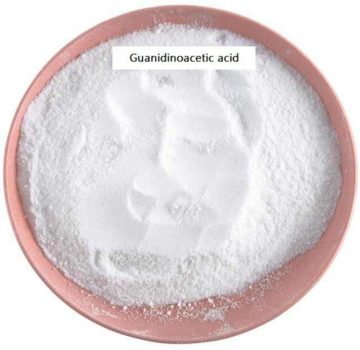 Guanidinoacetic Acid for Faster Fish Growth