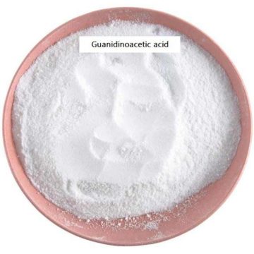Guanidinoacetic Acid for Faster Fish Growth