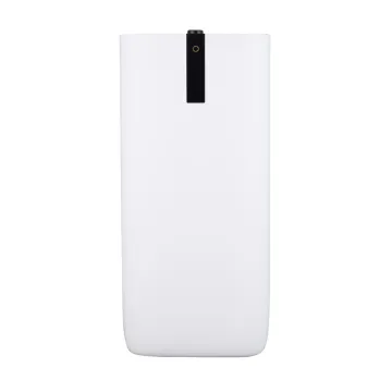 Allergies Removable Simple Setting Air Cleaner With HEPA