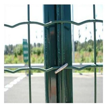 Holland Welded Wire Mesh Euro Fence Wave Fencing 50*50