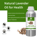 Herbal Fructus Amomi oil Natural massage Diffusers 1kg Bulk Amomum villosum Essential oil